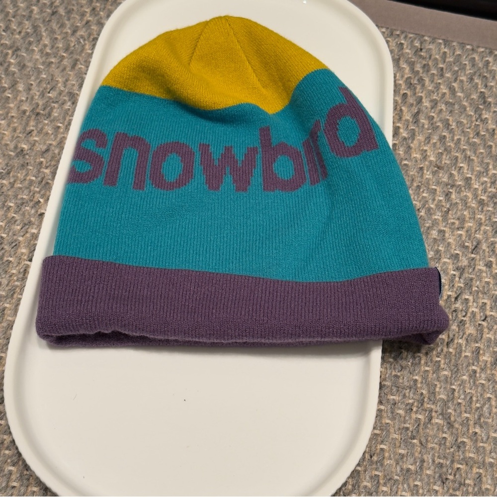 Snowbird Utah Winter Resort Purple, Yellow & Turquoise Stripe Beanie Unisex